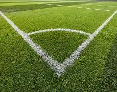 雄鹿官方榜,居首,湖人紧随其,千亿体育官网,APP下载,注册领彩金,官方网站,网站入口