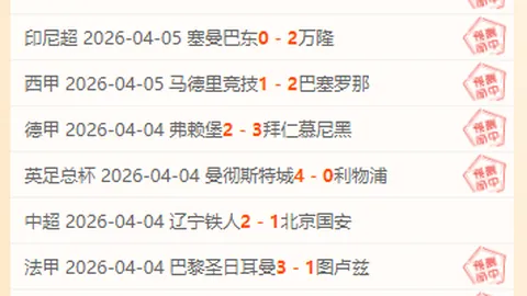 申花1-0力克深圳队晋级足协杯四强，汉超制胜远射惊艳全场！